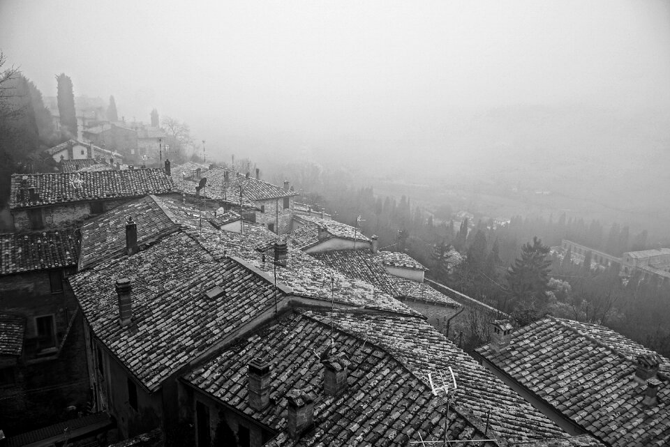 Fog tuscany houses