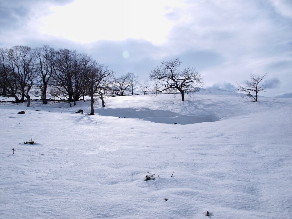 Nature cold winter