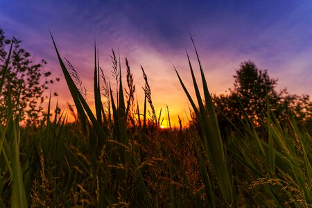 Abendstimmung lake sky