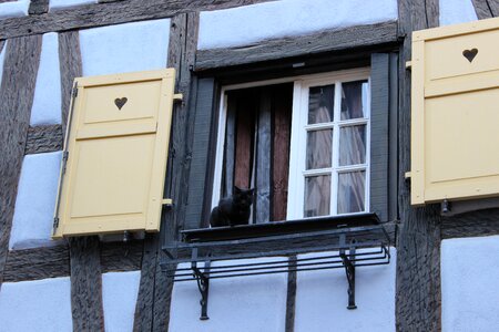Black cat fachwerkhaus shutters photo