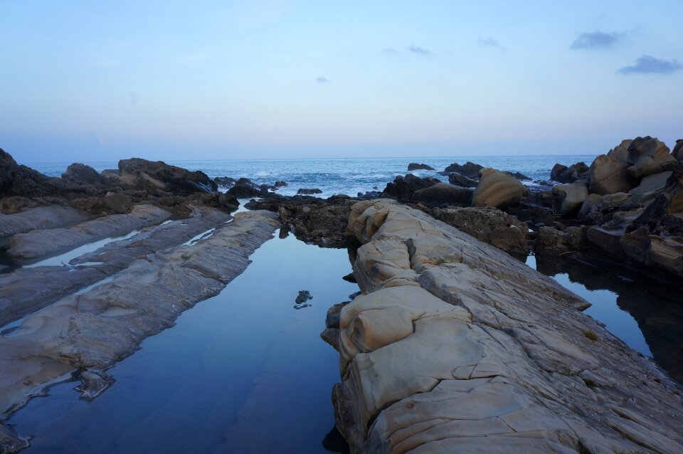 The sea rock ono willow