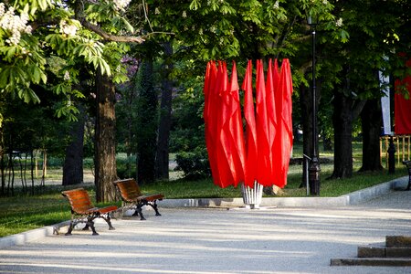 City park benches trees photo