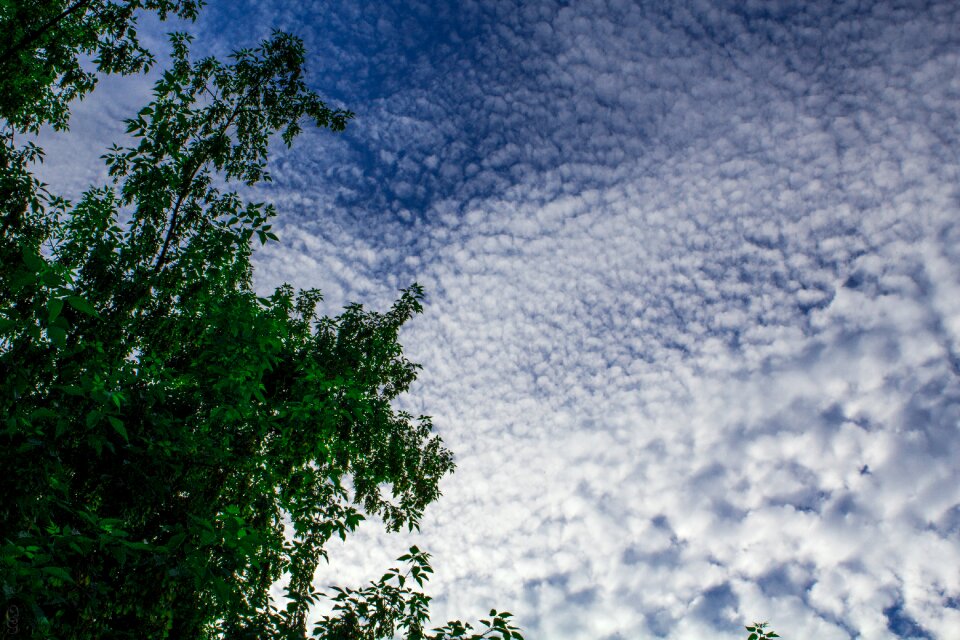 Evening sky cloud nature