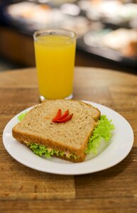 Sandwich juice snack