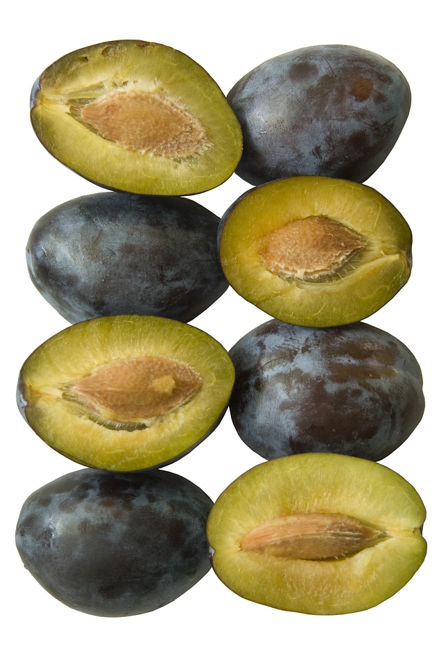 Plum cherry orchard plums