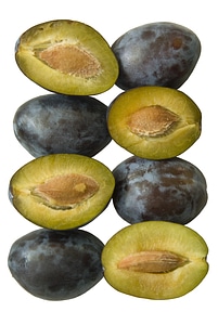 Plum cherry orchard plums