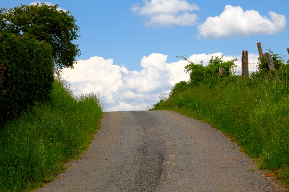 Road nature field