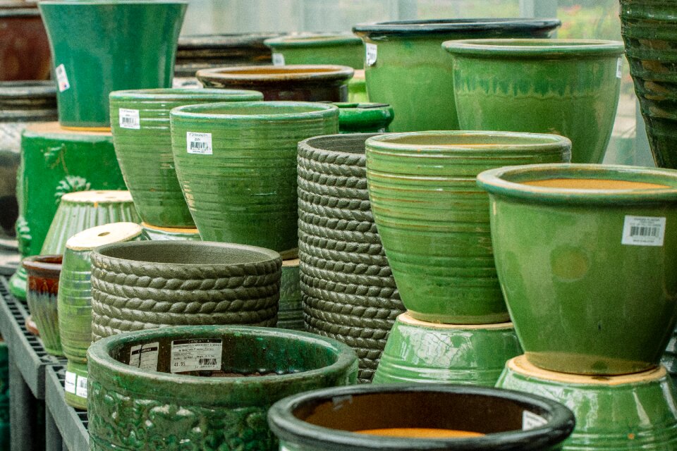 Green potted