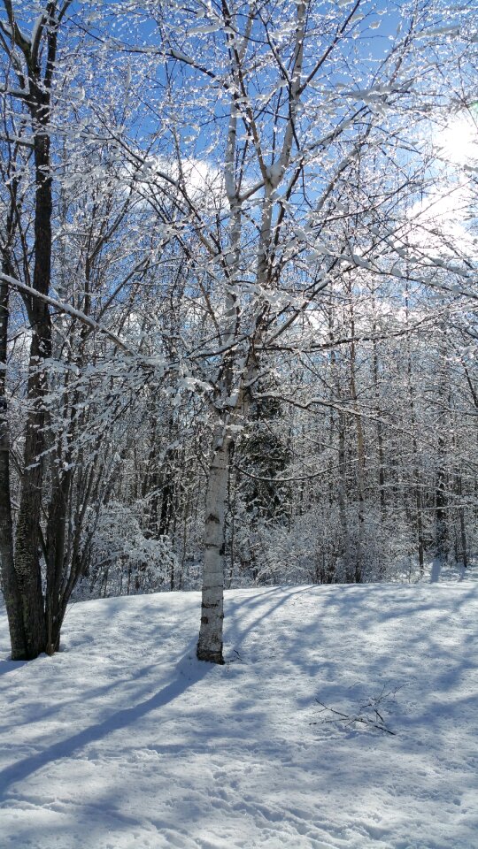Winter morning silence