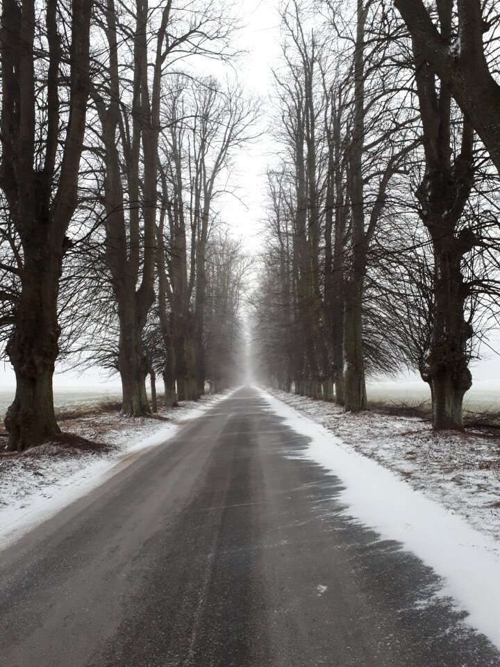 Road landscape denmark
