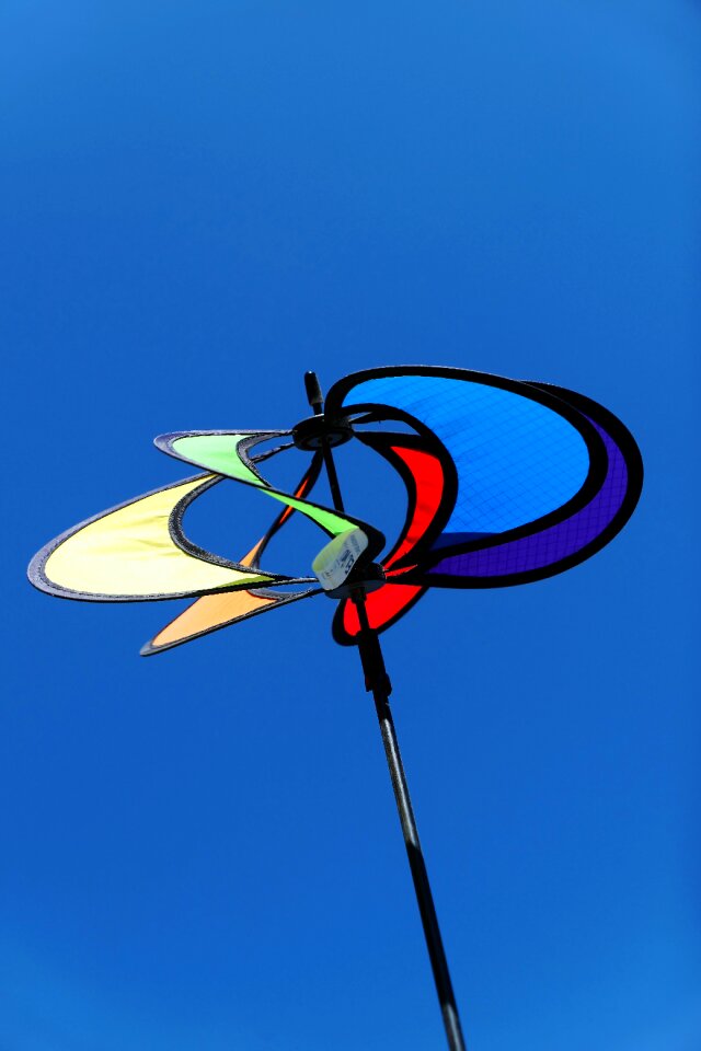 Color garden rotated