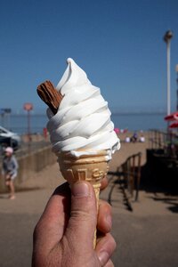 Beach cone flake photo