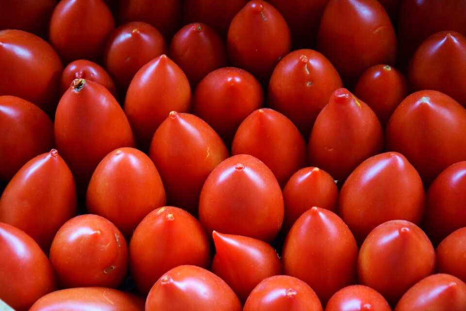 Tomato food garden