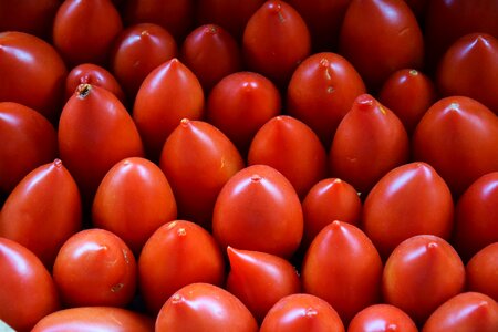 Tomato food garden