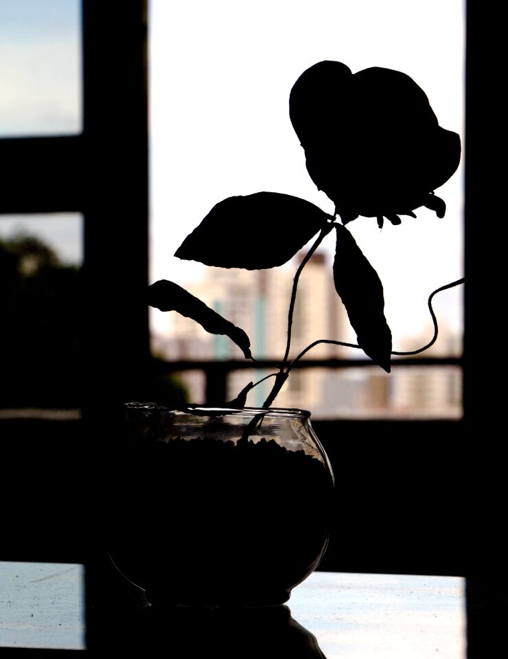 Against light flowers light background