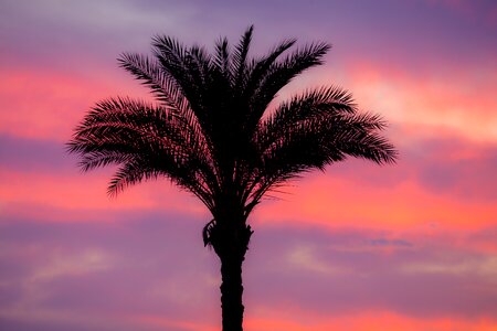 Sunset romance mood