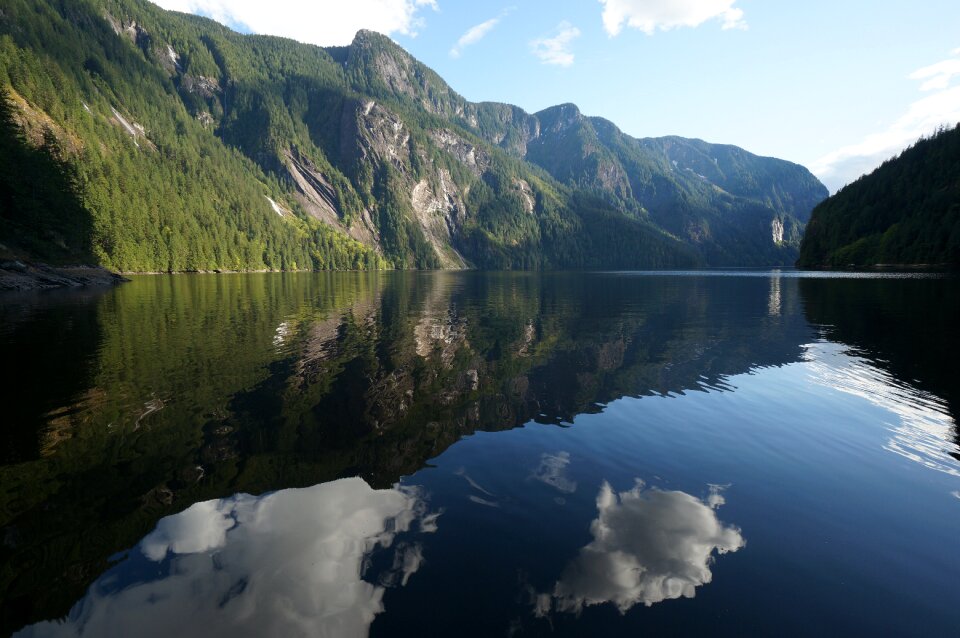 Fjord water nature