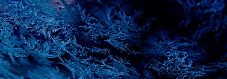 Winter frozen crystals