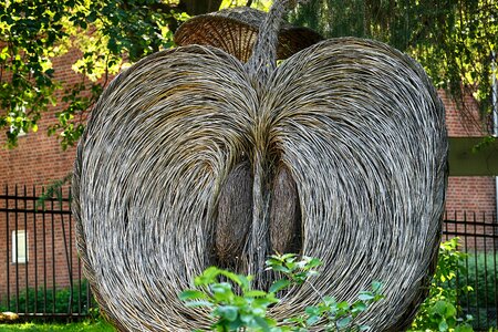 Apple garden