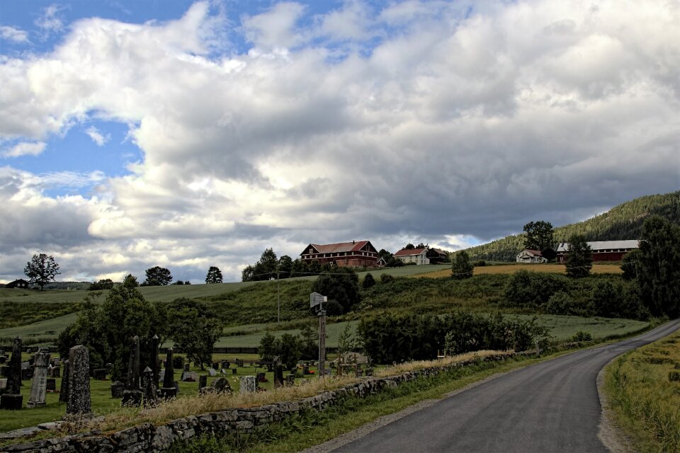 Landscape summer view