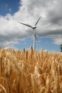 Wind energy wind power mecklenburg photo