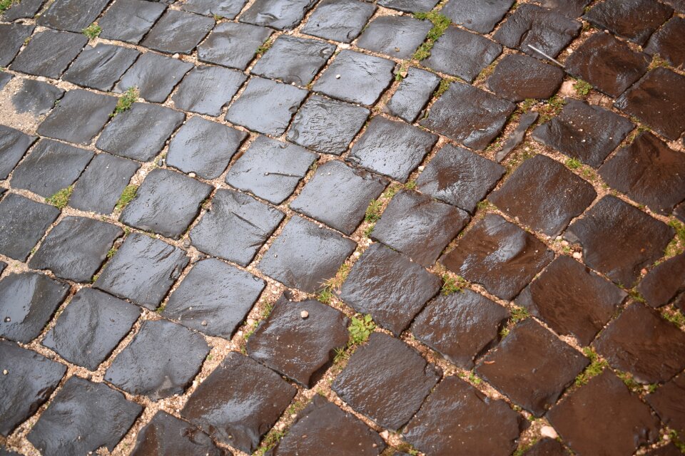 Road the cobble stones autumn photo