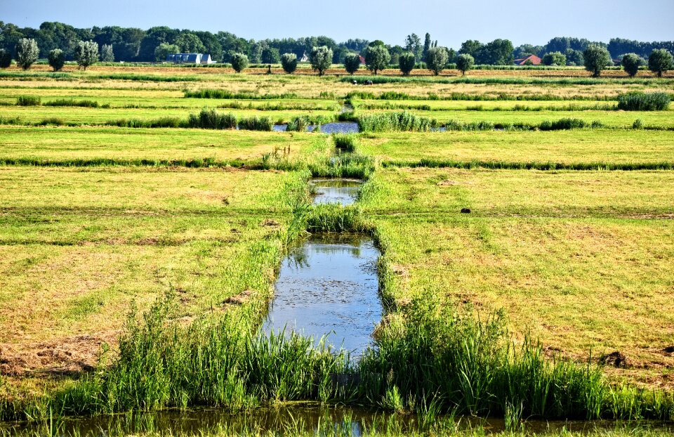 Dutch landscape polder dutch