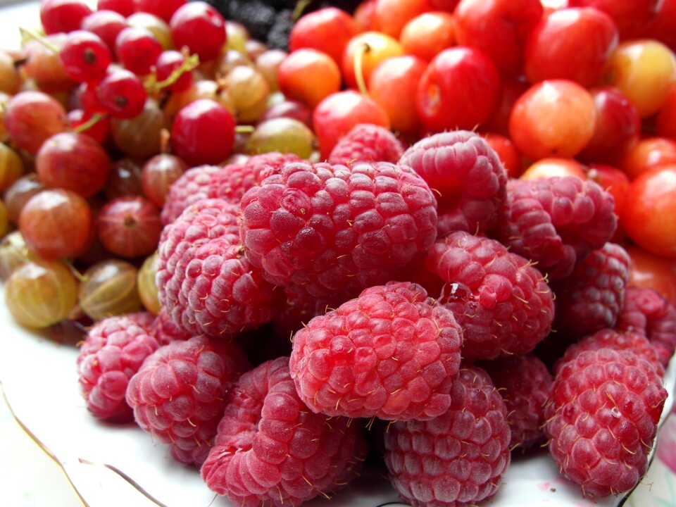 Fruit raspberries mulberry