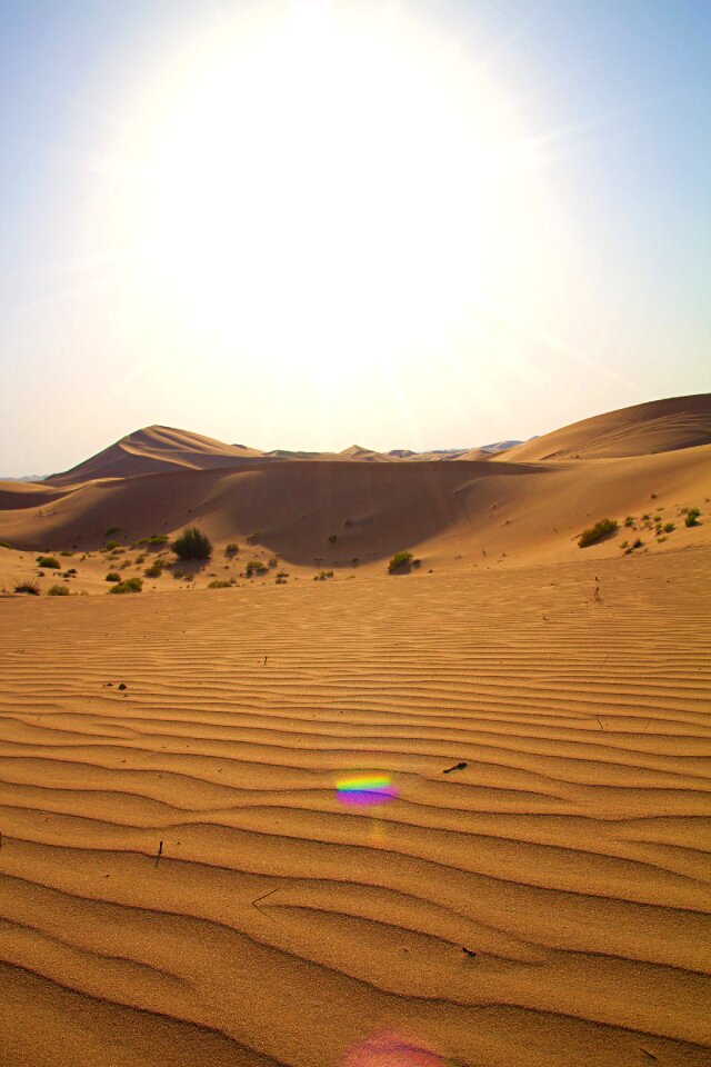 Arabic orient uae