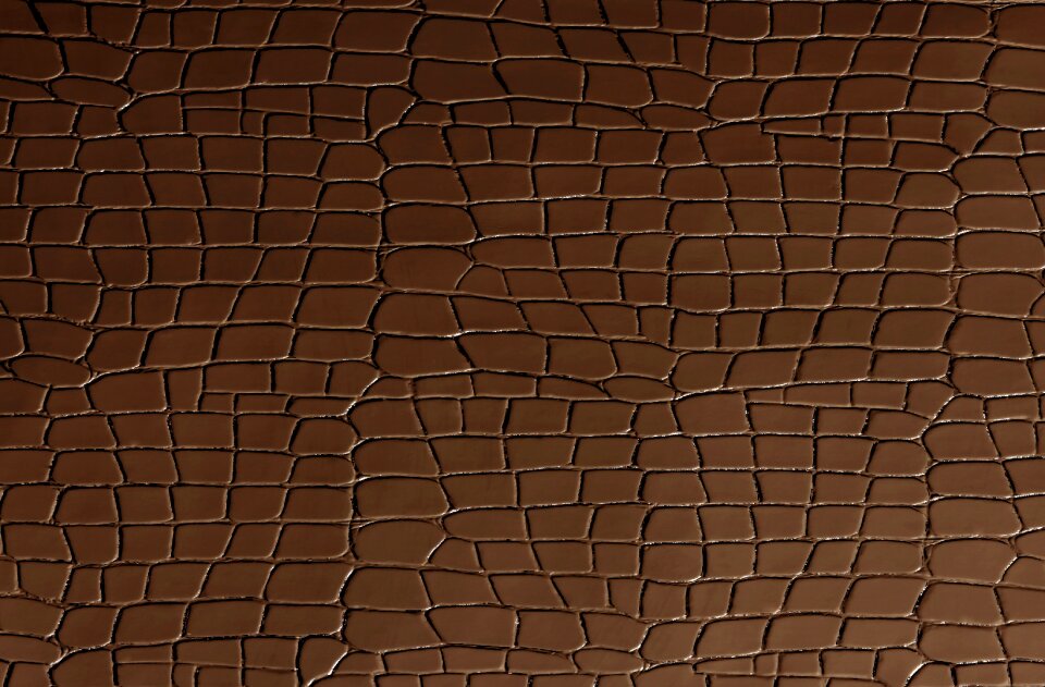 Skin écail chipped off
