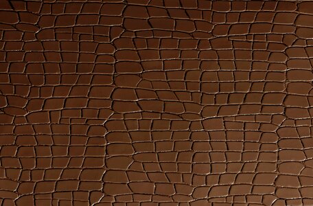Skin écail chipped off