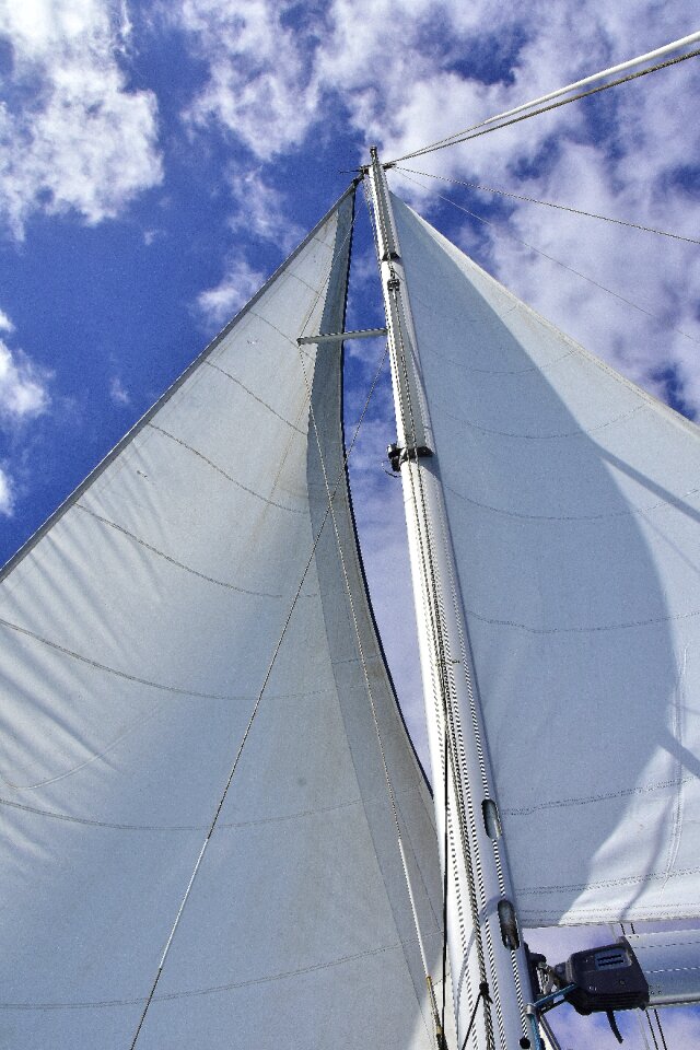Sea browse boat