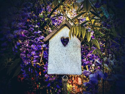 Garden house wood