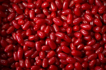 Bodhi red berries sweet and sour