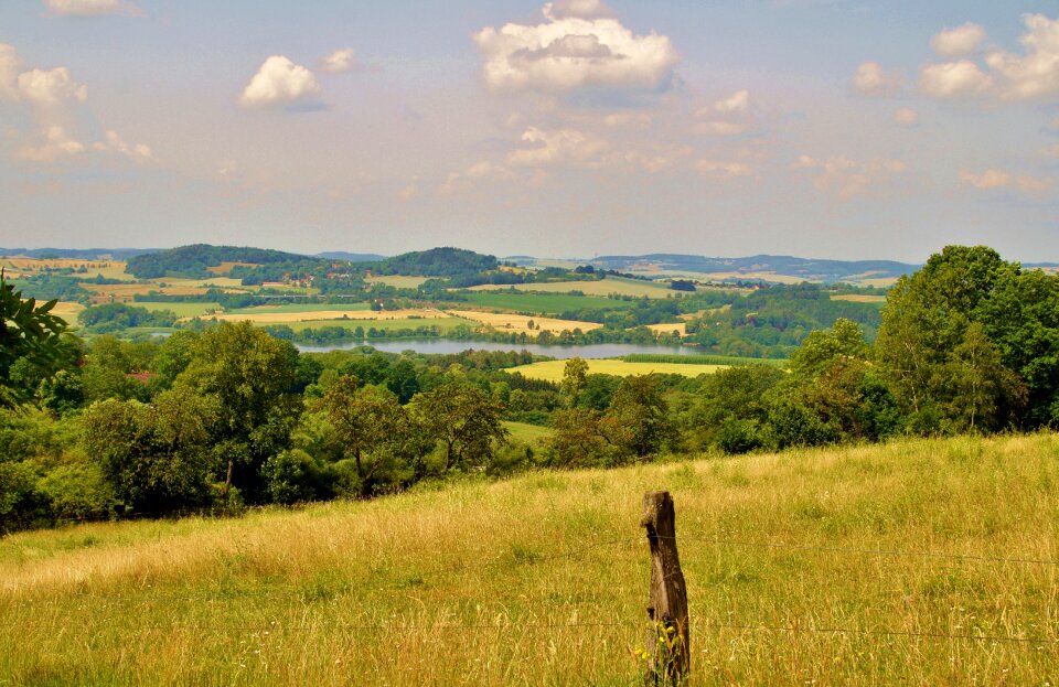 Panorama meadow summer