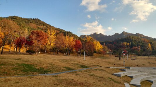 Autumn leaves park in autumn photo