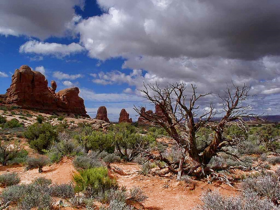 Usa colorado desert