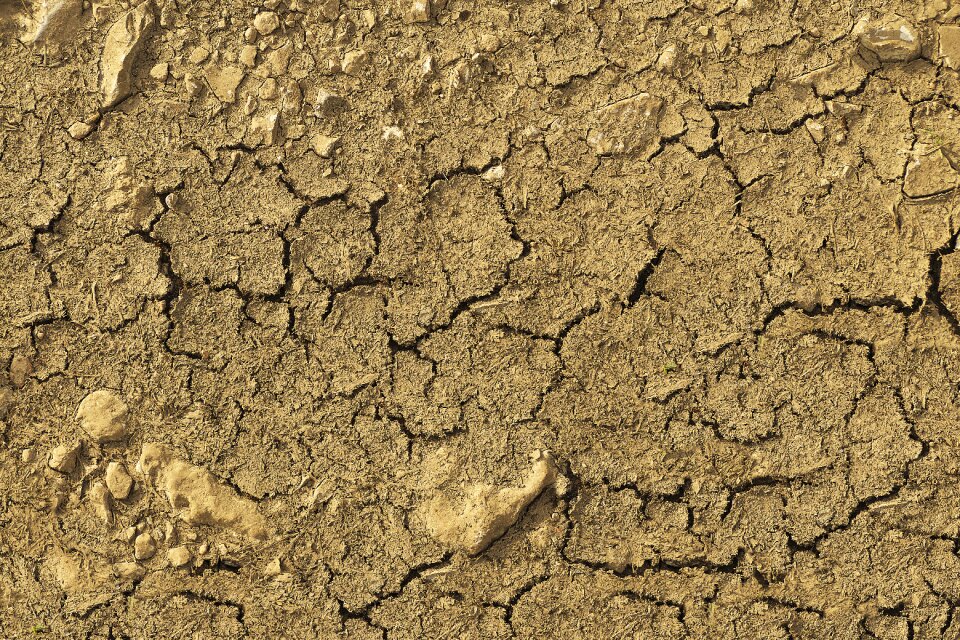 Drought cracked dry soil