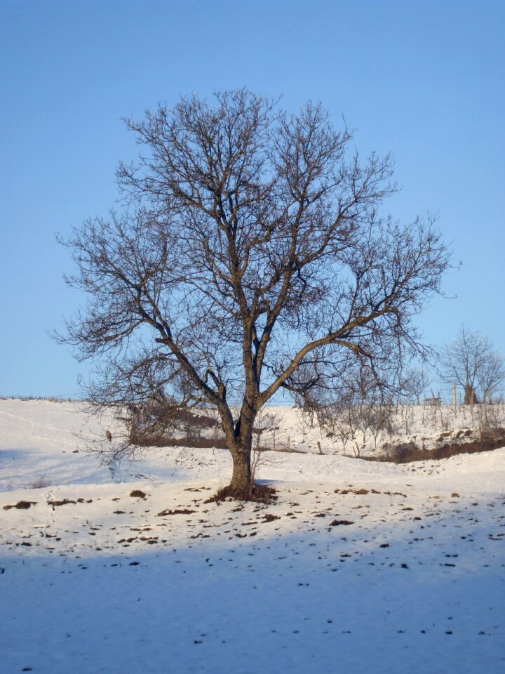 Winter snow