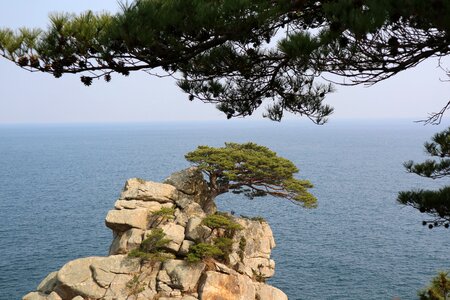 Sea cliff rock the beach photo