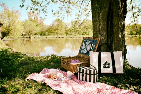 Nature lunch box sandwich photo