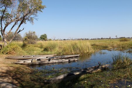 The okavango delta mokoro delta