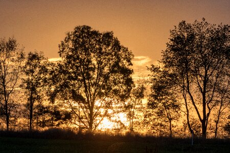 Orange horizon evening photo