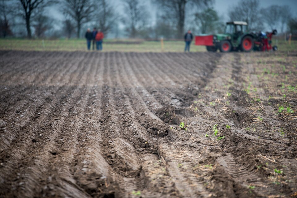 Ackerfurchen arable agriculture