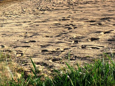 Sand water nature prints