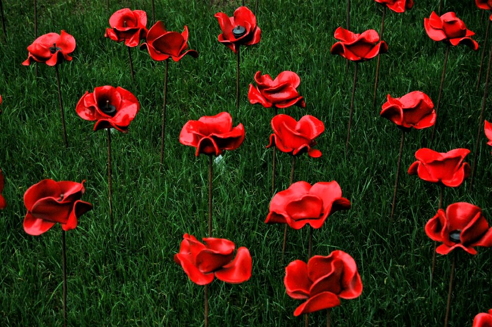 Remembrance green flower