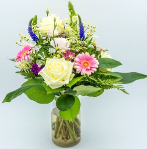 White plant vase