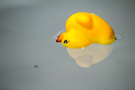 Mood waters duck