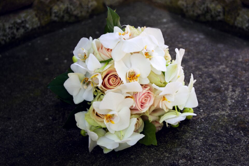 Flowers roses white