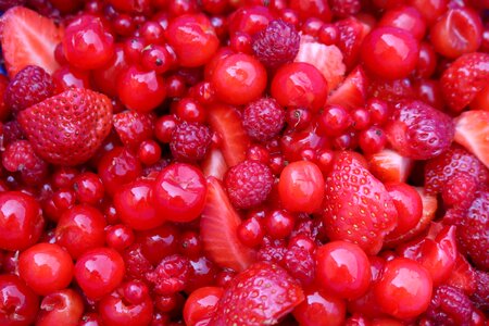 Berry red nature fruits photo